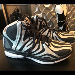 Derrick Rose Silver Zebra